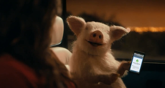 pig smiling