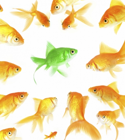 self-branding-marketing