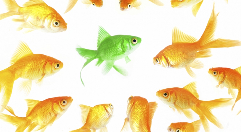 self-branding-marketing