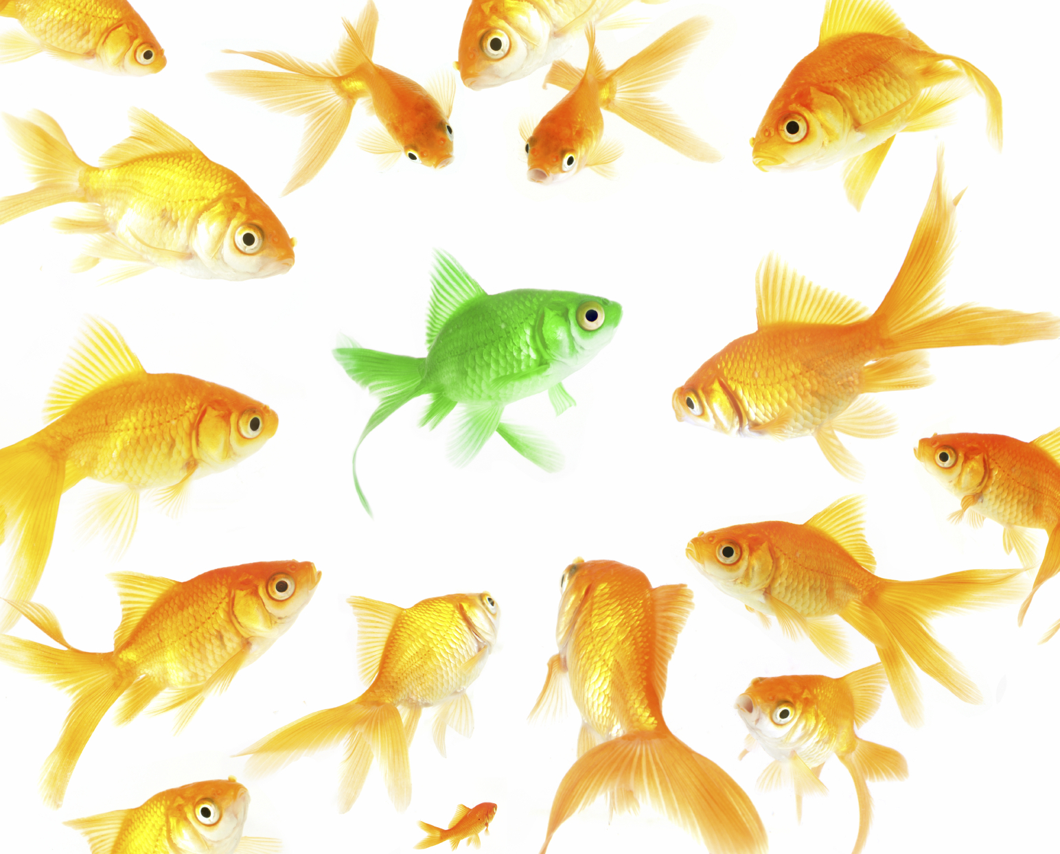 self-branding-marketing