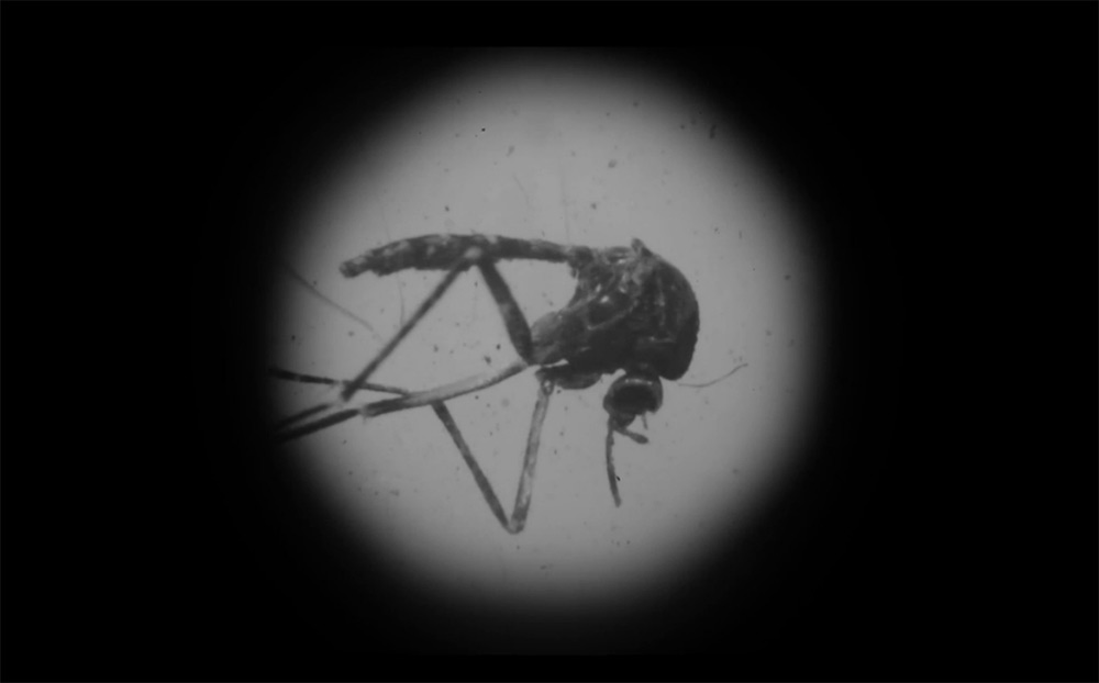 zika public relations crisis