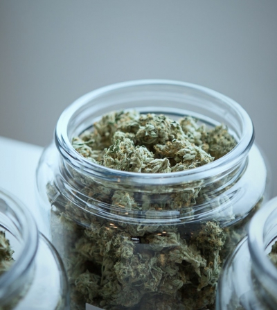 cannabis marketing