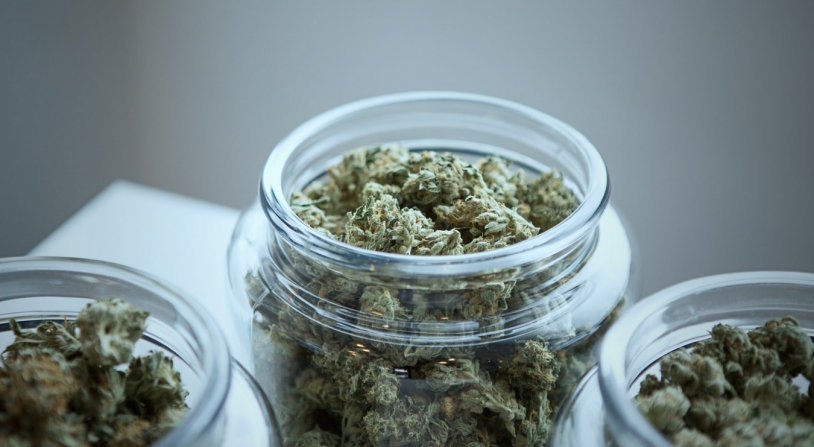 cannabis marketing