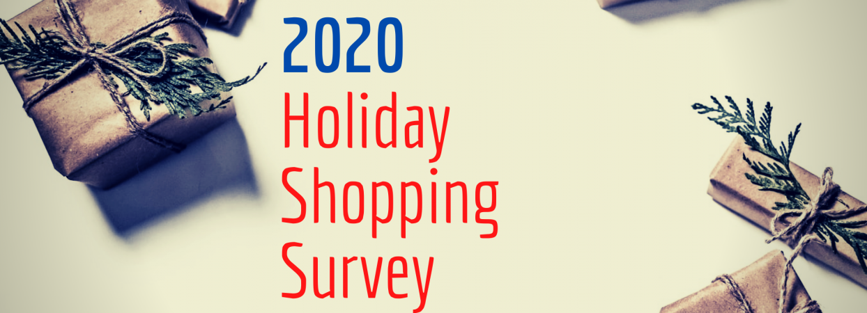 Holiday Shopping Survey