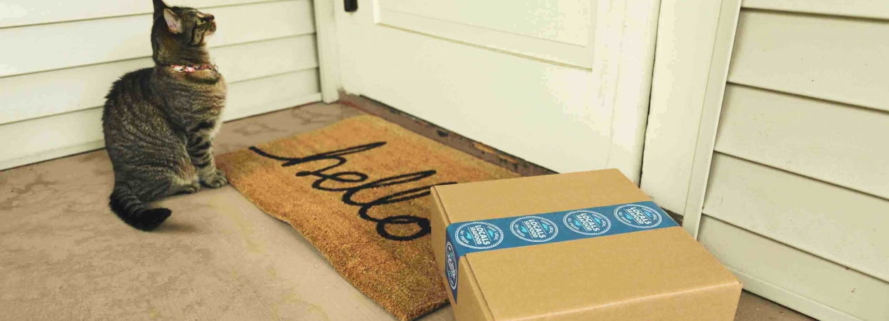 package delivered at a doorstep