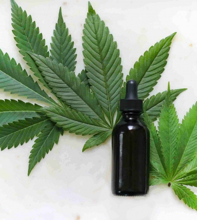 cannabis leaves with CBD bottle