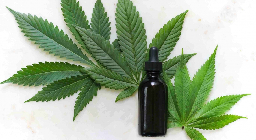 cannabis leaves with CBD bottle